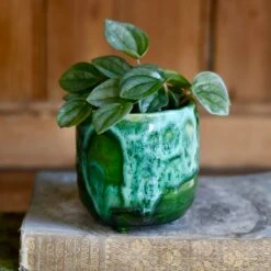 Pisa Emerald Planter | 7cm Pots | Baby Plant Pots | Ceramic Plot 5 Pisa Emerald Planter | 7cm Pots | Baby Plant Pots | Ceramic Plot -Verdant Haven Sales Store 019F8EDD 99B7 48A1 89D1 3108C9CFC87A 1 201 a