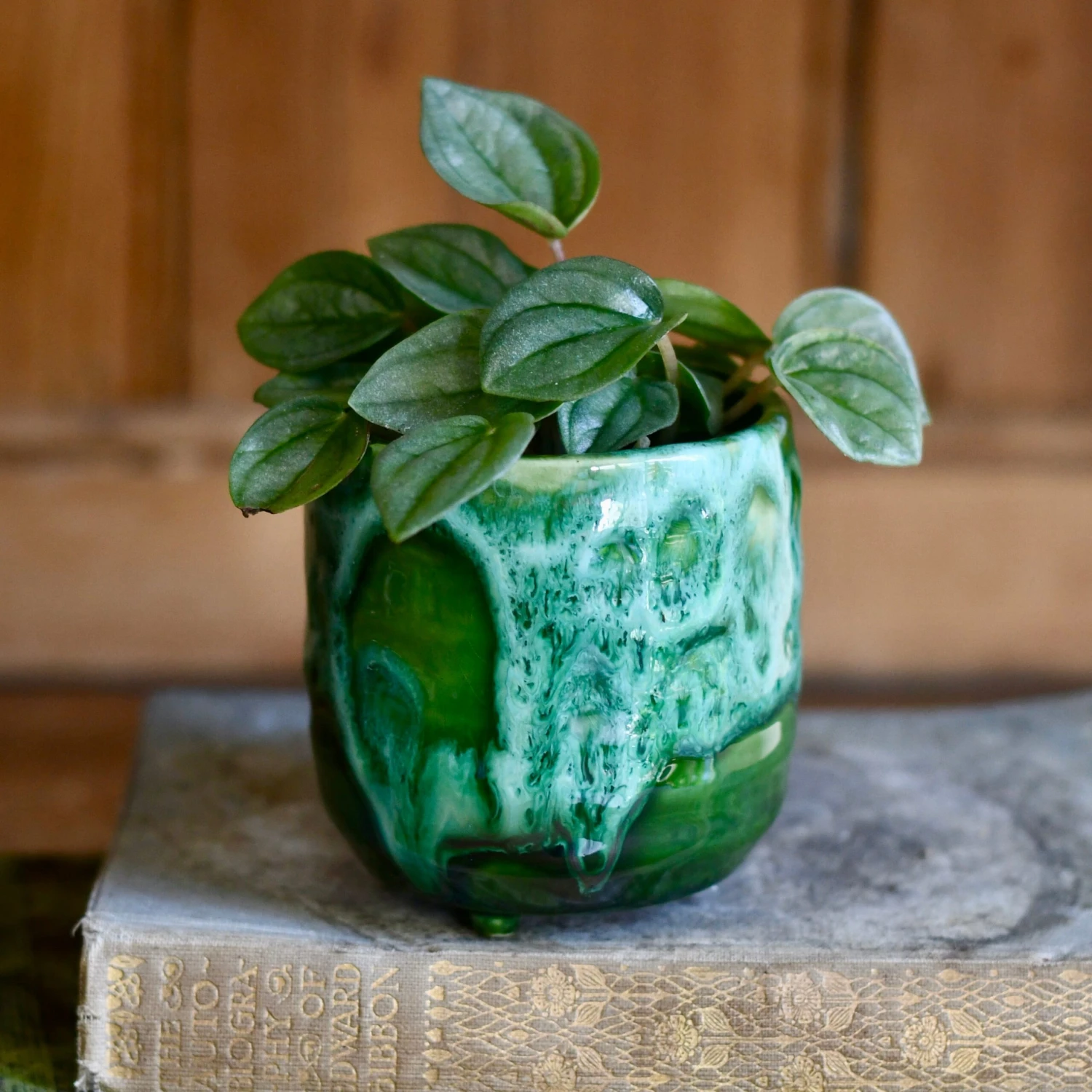 Pisa Emerald Planter | 7cm Pots | Baby Plant Pots | Ceramic Plot 3 Pisa Emerald Planter | 7cm Pots | Baby Plant Pots | Ceramic Plot - Image 3