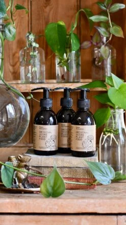 Original Vegan Plant Food 250ml (Houseplant Organic Fertiliser) -Verdant Haven Sales Store 099BB6A5 1992 446B 91A7 40A7A2B508A9 1 201 a