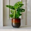Garnet Reactive Planter With Foot (7cm Plant Pot)