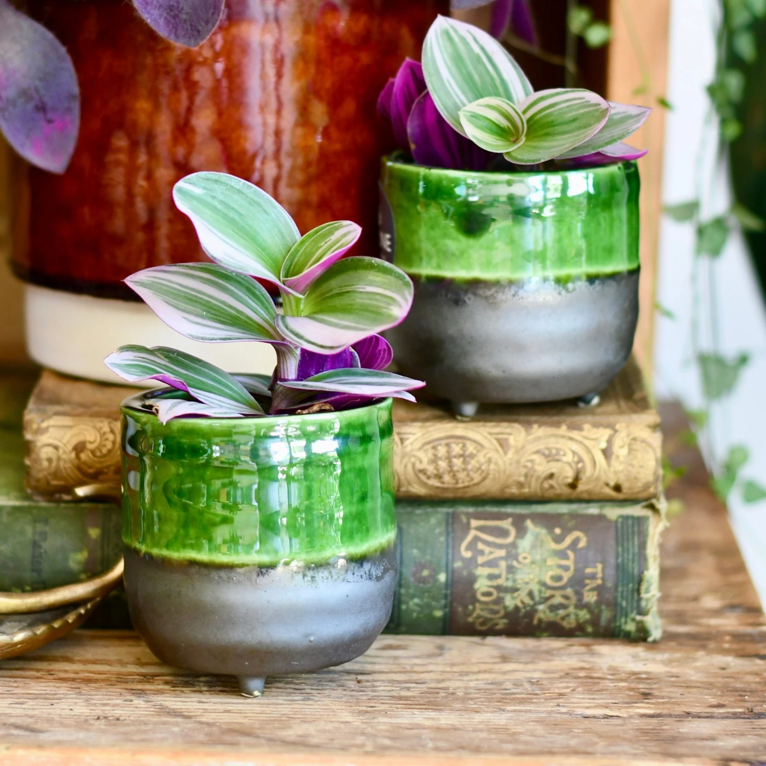 Jade Reactive Planter With Foot (7cm Plant Pot) 1 Jade Reactive Planter With Foot (7cm Plant Pot)