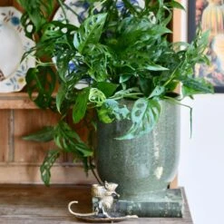 Designer Plant Pot | Forest Green Reactive Glaze Planter| 18cm Plant Pot