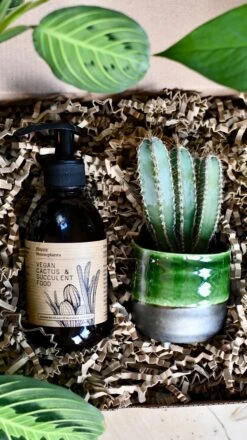 Vegan Cactus & Succulent Food Gift Box -Verdant Haven Sales Store 4A7AB085 4686 4BA0 9E87 1BCFADC030A5 1 201 a