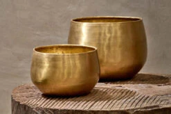 Atsu Brass Planter - Small -Verdant Haven Sales Store 4C674449 E84C 4F77 8257 43FF2D882A5F