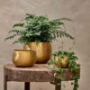 Atsu Brass Planter - Small