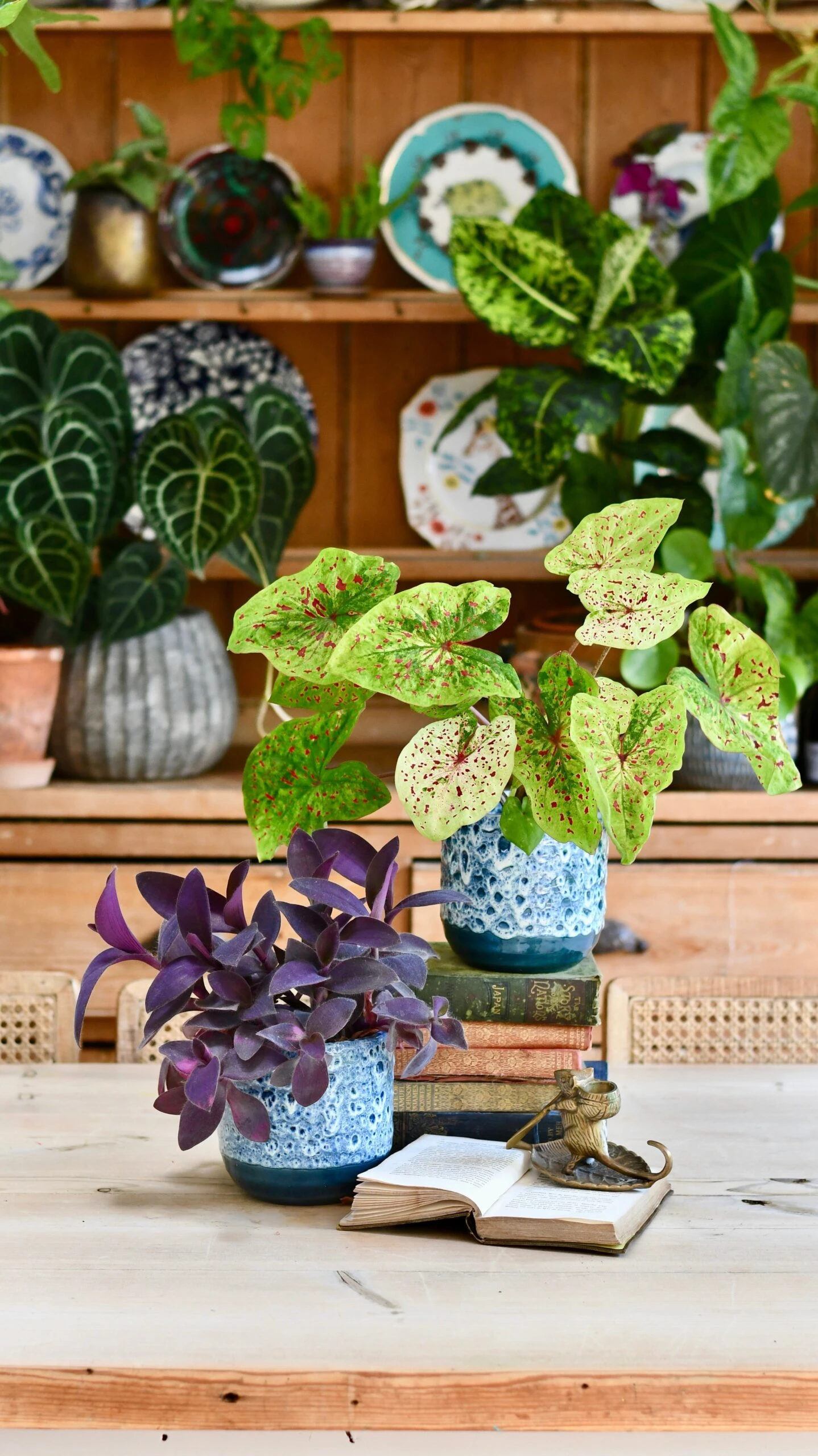 Indoor Ceramic Glaze Plant Pot (Sapphire 16cm Plant Pot) 6 Indoor Ceramic Glaze Plant Pot (Sapphire 16cm Plant Pot) - Image 6