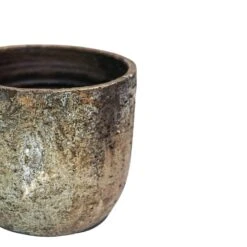 Albero Planter (21cm Pot) -Verdant Haven Sales Store 5 82441c17 0cf1 4191 be89 846e7aa714c9