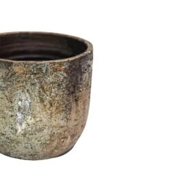 Albero Planter (28cm Pot) -Verdant Haven Sales Store 5 e17fe5e0 9dd6 4979 8671 1bb73c2893fb