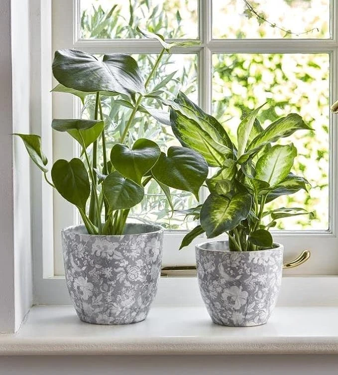 Bohemian Monza Planter, Vintage Grey 1 Bohemian Monza Planter, Vintage Grey