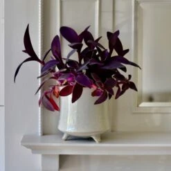 Stone Planter (13cm Plant Pot)