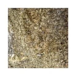 Albero Planter (21cm Pot) -Verdant Haven Sales Store 6 0a52bcbb c4b0 4fb4 9e7b f99dcede9dbe