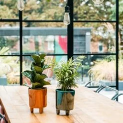 Pisa Emerald Planter | 16cm Pots | Designer Pots -Verdant Haven Sales Store 6 274bd63a cd96 4ff3 8c3f fa64e166ecea jpg