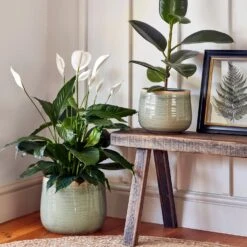 Como Mint Premium Glaze Planter (26cm Plant Pot)