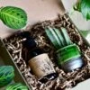 Vegan Cactus & Succulent Food Gift Box