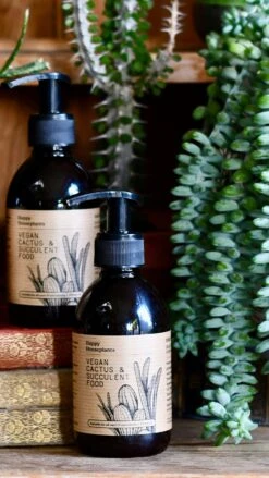 Vegan Cactus & Succulent Food Gift Box -Verdant Haven Sales Store 8B3F5609 6921 488F BA1D 1AAA5FC00222 1 201 a 2f7ab8b9 2a5a 46b9 8414 4745c2aa6856