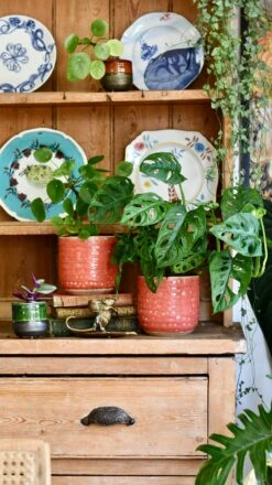 Titan Reactive Planter (13cm Plant Pot) -Verdant Haven Sales Store 98282D35 3CE4 41D8 88F3 D3F4E4604620 1 201 a