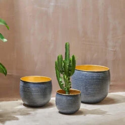 Tembesi Etched Planter - Antique Black & Brass Large -Verdant Haven Sales Store 98bb8d 0560c932647a48b096982b7b3cb20329 mv2