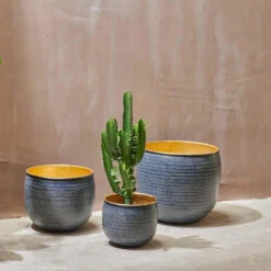 Tembesi Etched Planter - Black & Brass Medium -Verdant Haven Sales Store 98bb8d 0560c932647a48b096982b7b3cb20329 mv2 0ae856e1 ada3 42fd ad83 95ff555e92fb