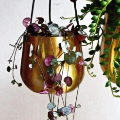Atsu Brass Hanging Planter 10cm Wide -Verdant Haven Sales Store 98bb8d 12c7b346cb3d483b8cf89d78990bc909 mv2