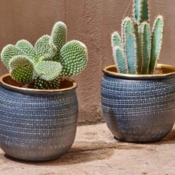 Tembesi Etched Planter - Antique Black & Brass Large -Verdant Haven Sales Store 98bb8d 1704bb9a605940709e31e91f56c94f98 mv2