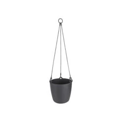 Brussels Hanging Basket 18cm -Verdant Haven Sales Store 98bb8d 19cc206127964db58ee23b183a44dc10 mv2