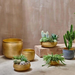 Tembesi Etched Planter 18cm Brass 11 Tembesi Etched Planter 18cm Brass -Verdant Haven Sales Store 98bb8d 1e0ec9d4021e495884f791607c6e7d68 mv2