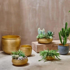 Tembesi Etched Planter Medium Brass -Verdant Haven Sales Store 98bb8d 1e0ec9d4021e495884f791607c6e7d68 mv2 9eca1d0a ac89 4f06 afd6 66a7adbc840c