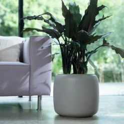 PURE BEADS POT 27cm -Verdant Haven Sales Store 98bb8d 306ad0cba3974567bd92bb6cabc76b51 mv2