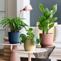 Vibes Fold Round 14cm