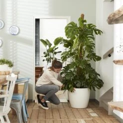 Brussels Round Plant Pot 47cm