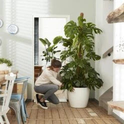 Brussels Round Plant Pot 40cm (Large Indoor Plant Pots) 9 Brussels Round Plant Pot 40cm (Large Indoor Plant Pots) -Verdant Haven Sales Store 98bb8d 32f280b7dc3e451cb9e39ac570eec23d mv2 b3146fd9 7f28 457d a47a 24f5a70be60b