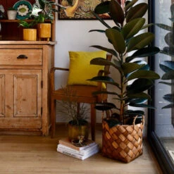 Natural Basket Planter - Brown 30cm -Verdant Haven Sales Store 98bb8d 434ecfb280574e728ca61a52f03d5757 mv2