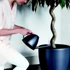 Brussels Round Plant Pot 47cm -Verdant Haven Sales Store 98bb8d 47bb283bfd9e4ae1bd1e29215bb98812 mv2