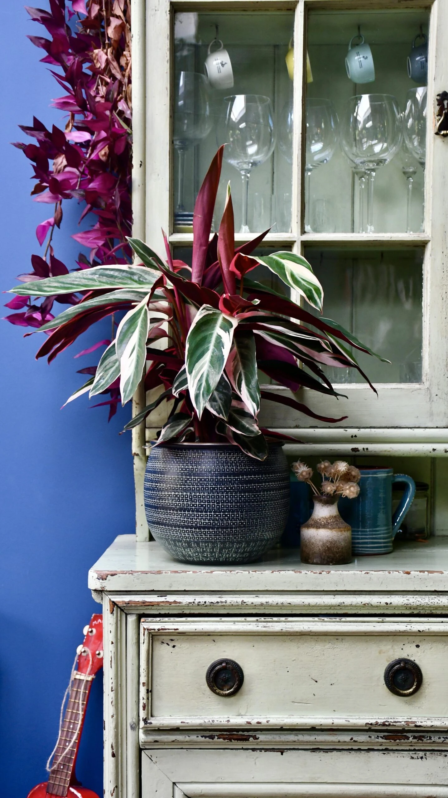 Calathea Stromanthe Triostar & Tembesi Pot 6 Calathea Stromanthe Triostar & Tembesi Pot - Image 6