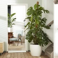 Brussels Round Plant Pot 47cm -Verdant Haven Sales Store 98bb8d 4f911ca6f6fb4ceb95f948c807faaf74 mv2