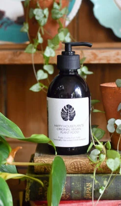 Philodendron Pedatum 'Florida Ghost' -Verdant Haven Sales Store 98bb8d 5bc293fcb1f64b5a88e16706631c4432 mv2 58fe05db 1728 452e b37e 61af0c5eea9c