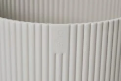 Spathiphyllum Verdi, Peace Lilly 17cm X 70cm -Verdant Haven Sales Store 98bb8d 5d26c4e45e894f8faaa829188aa60ac7 mv2 7ec1c155 7392 417b a6e0 eac590aa5b66