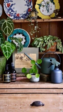 Deluxe Organic Plant Care Set 14 Deluxe Organic Plant Care Set -Verdant Haven Sales Store 98bb8d 918622be450c434c977a231d76f979aa mv2