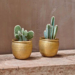 Tembesi Etched Planter Medium Brass -Verdant Haven Sales Store 98bb8d a51e9ee4f4bd4074a04cacb7584d25da mv2 28e465d4 4336 43a1 ac2d 9574b17bbe7b