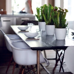 Brussels Round Plant Pot 14cm -Verdant Haven Sales Store 98bb8d abfebf391f6a4524a872cb60d39010e2 mv2 c0d936cc a3e8 4c95 b14a 93277ab276d0