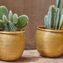 Tembesi Etched Planter Medium Brass -Verdant Haven Sales Store 98bb8d ae3e8c9525b0438896f3678e46816bfd mv2 c2ba625e 9f06 416c b5f1 0a28803aa97d