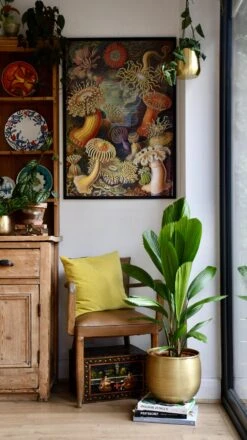 Licuala Grandis Palm -Verdant Haven Sales Store 98bb8d ae75b9f6bafe485fb8d205b2e932e774 mv2