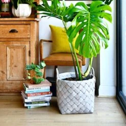 Grey Natural Basket Planter 36cm -Verdant Haven Sales Store 98bb8d b1364539e36f435284a3d3f739158c78 mv2