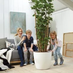 Brussels Round Plant Pot 47cm -Verdant Haven Sales Store 98bb8d b1b22cd5b2964ba9ab7752f2579669c3 mv2