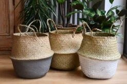 Grey Seagrass Planter -Verdant Haven Sales Store 98bb8d c4d8d9f9e0634dc18622571f51e326b6 mv2 d 4272 2848 s 4 2 cd4ea199 691d 47de 8845 1ac883e6cc79