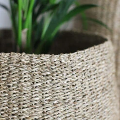 Noko Seagrass Basket -Verdant Haven Sales Store 98bb8d c651b1d46bdc43639f6e6352e78f31dd mv2