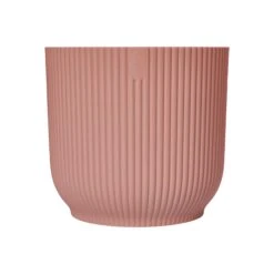 Aspidistra Elatior And Vibes Pot (Cast Iron Plant) -Verdant Haven Sales Store 98bb8d cd8d82a287b14739b5f2ed59f33e9611 mv2