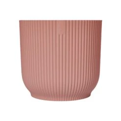 Vibes Fold Round 22cm -Verdant Haven Sales Store 98bb8d cd8d82a287b14739b5f2ed59f33e9611 mv2 1da3641f 3ecc 4e93 abe3 38eea79a0eb6