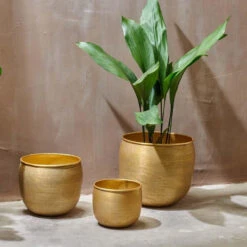 Tembesi Etched Planter Medium Brass -Verdant Haven Sales Store 98bb8d ce762887018d4e32b2d0b679e40ab483 mv2 3d209a6b cb06 4eaf a22d 1afbde4566a9