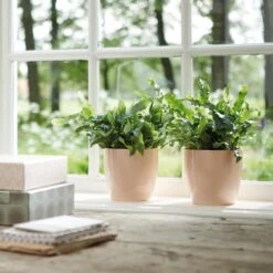 Brussels Round Plant Pot 14cm -Verdant Haven Sales Store 98bb8d dcdf04d735984600ba24b1efa21e58da mv2